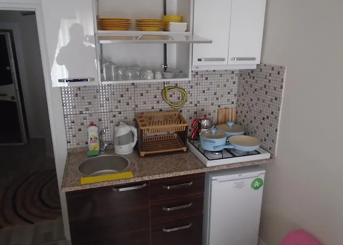 Lejlighedshotel The *